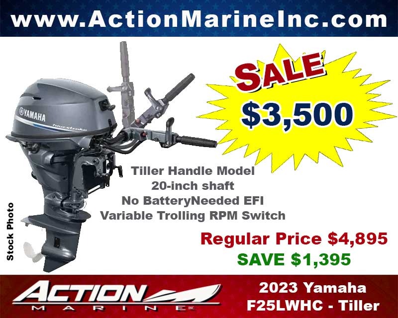 Yamaha F25LWHC Image