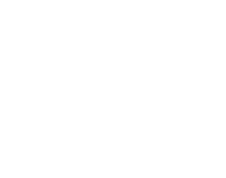 Unlimited Auto Sales Group logo