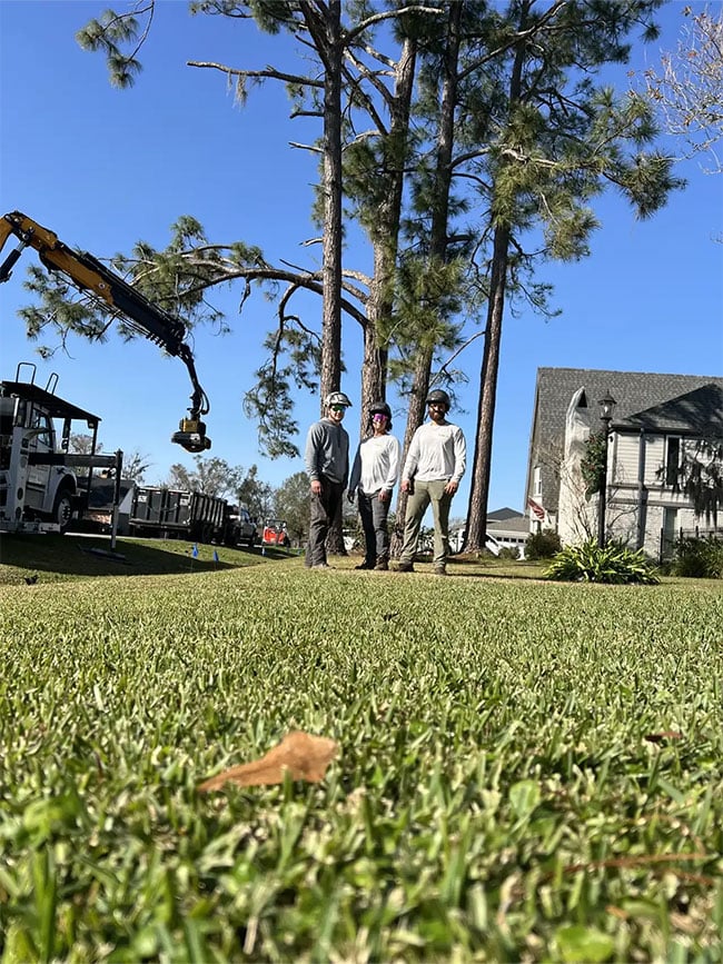 Professional arborist team in Simi Valley providing tree care services