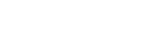 Real Prime Cars