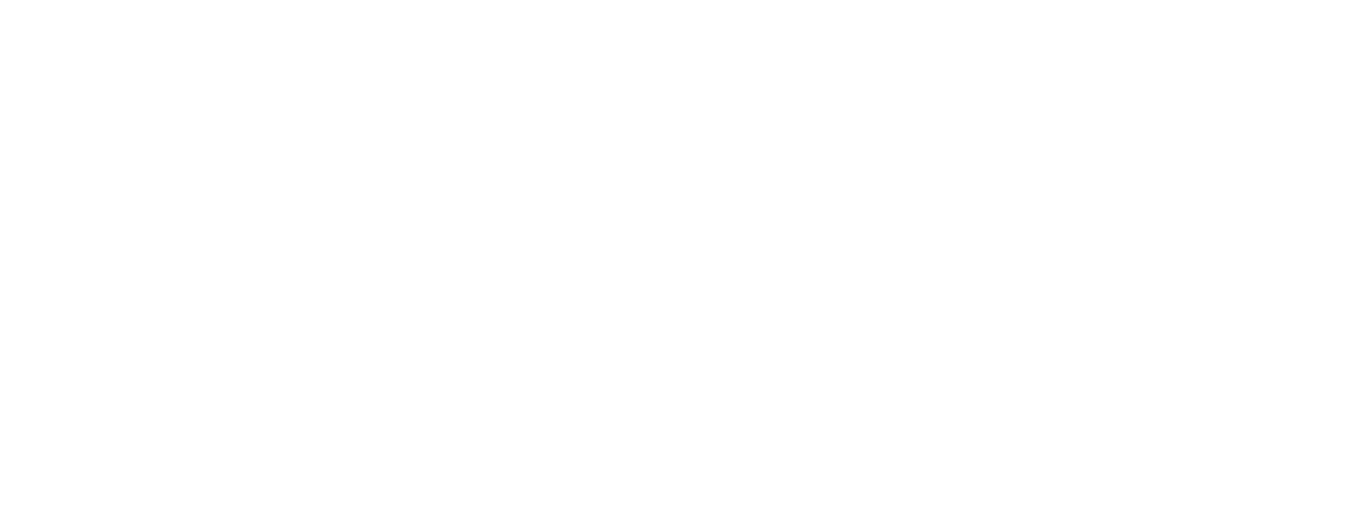 Irreverent Warriors logo