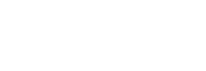 Port City Auto Sales logo