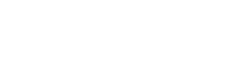 Downers Grove Motor Sales logo
