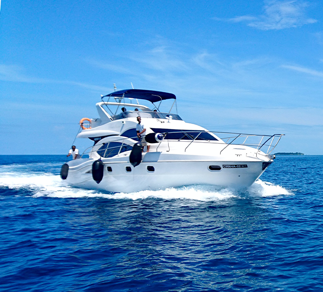 Our Financing