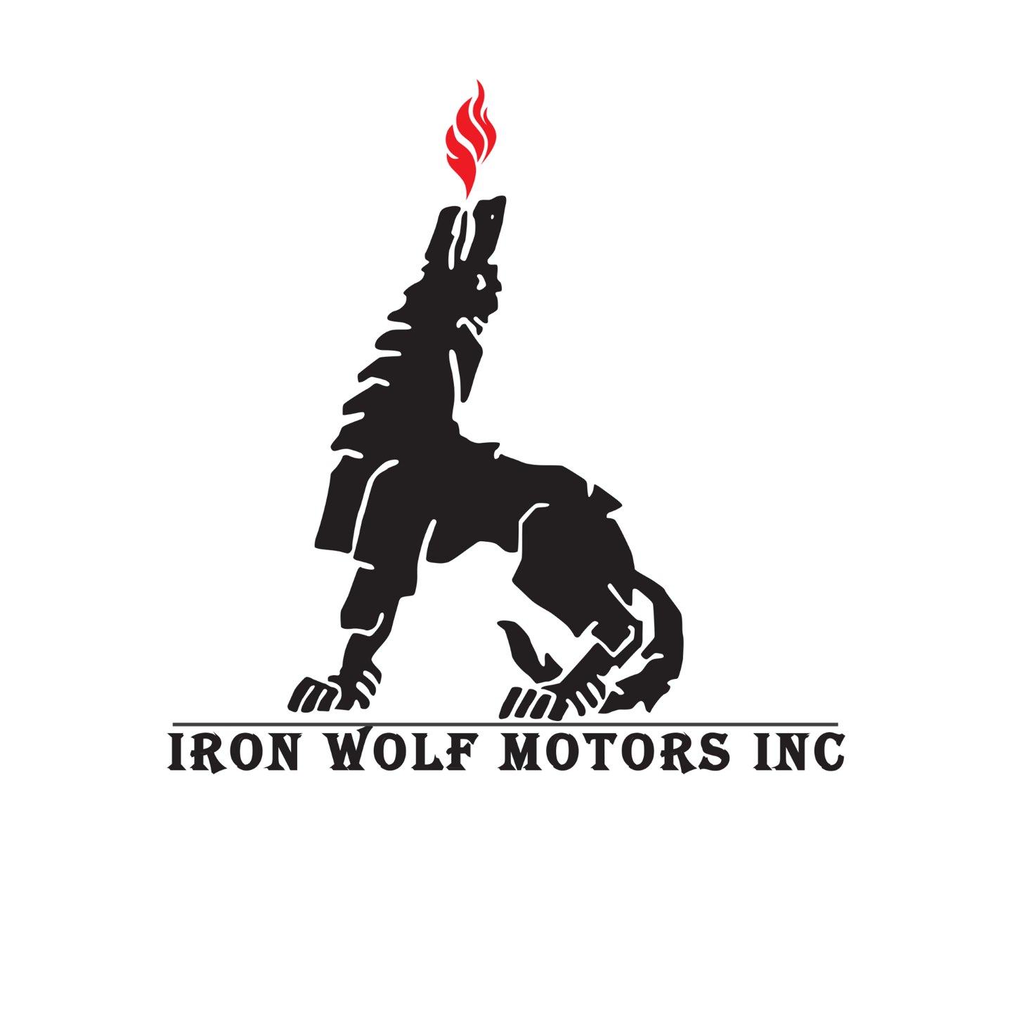 IRON WOLF MOTORS INC