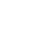 Metro Motors NC Inc