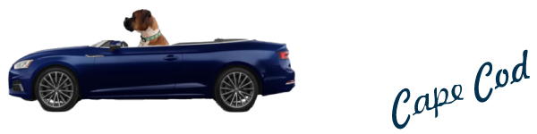 The Car Store Cape Cod