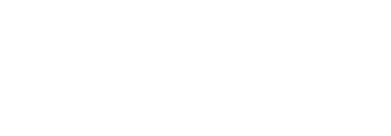 Priceless Car Rental logo
