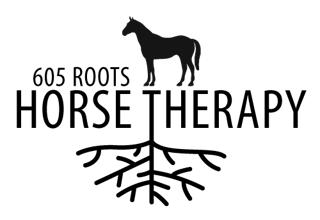605 Roots Horse Therapy & Camps