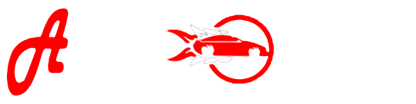 Auto Outlet Inc.