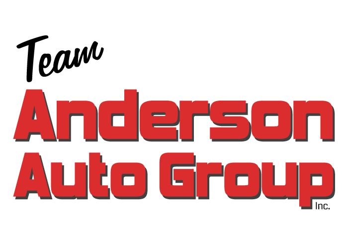 TEAM ANDERSON AUTO GROUP INC