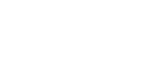 Automobile Nation