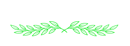 ROYALTON MOTORS