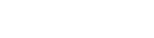 Little Bear Car Company