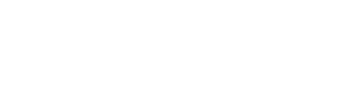 Bokhari Imports, LLC