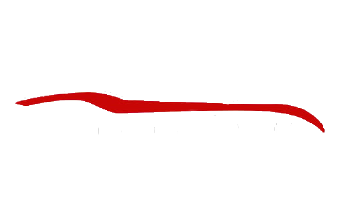CAMARGO MOTORS