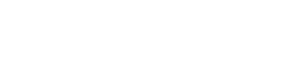 Fastlane Auto Sale