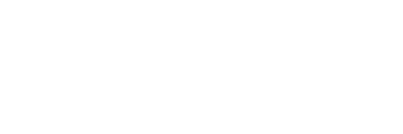 DriveLink Automotive