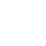IG AUTO