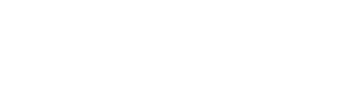 DAYTONA MOTOR CO logo