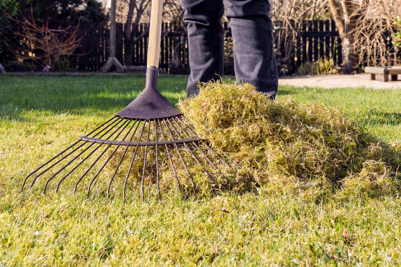Spring Clean Up Thatching Landscaping Contractor In Sioux Falls SD - Schoenhard's Lawn Care