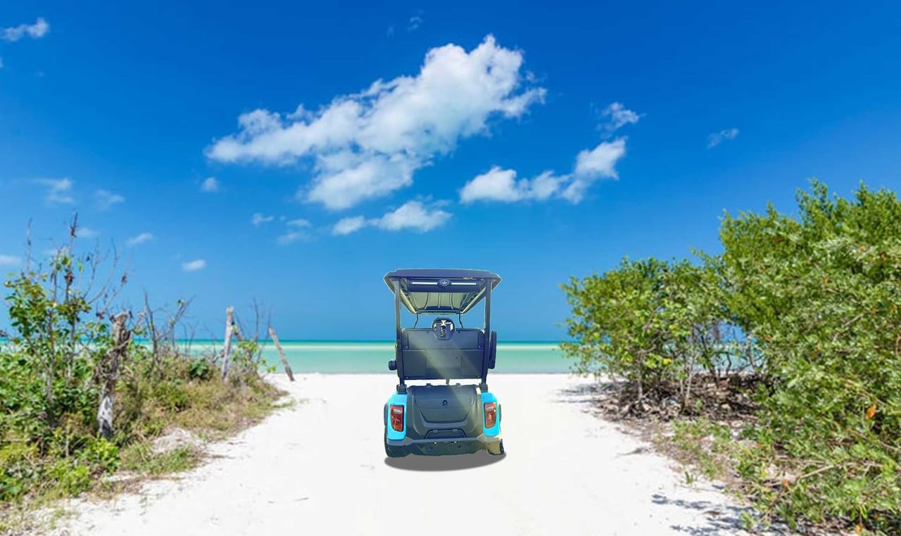 PEACOCK GOLF CART SALES - Home